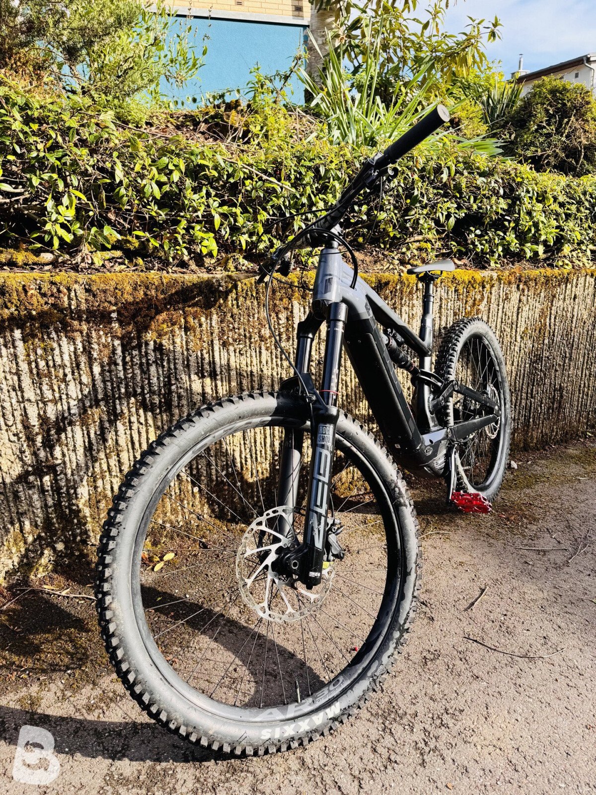 Canyon Torque:ON 7 2022
