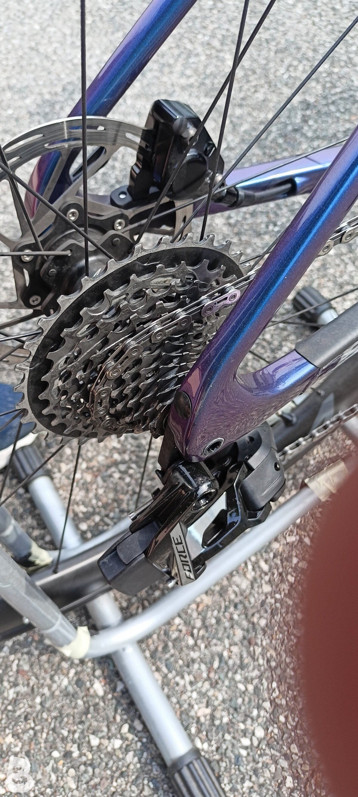Bianchi Specialissima 2026