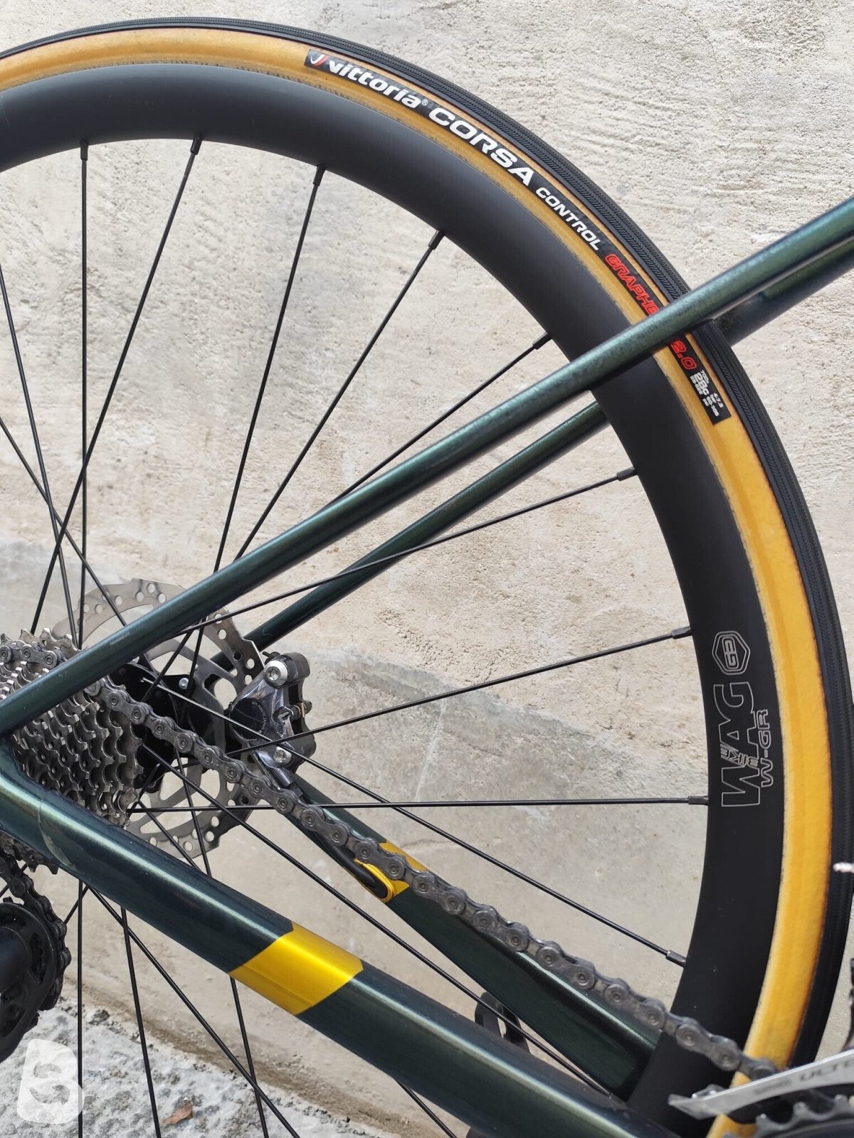Titici Modena 2023