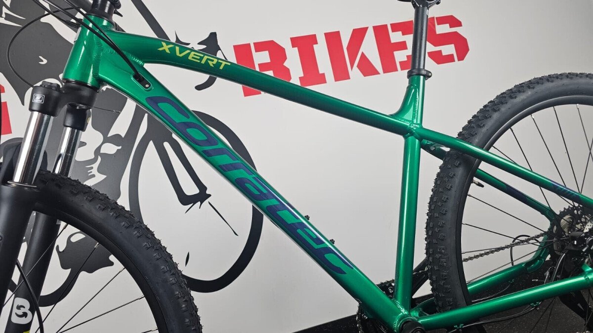 Corratec x-vert elite disc 29 inch 2025