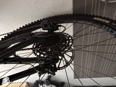 Cannondale Moterra Neo Carbon 3+ 2021