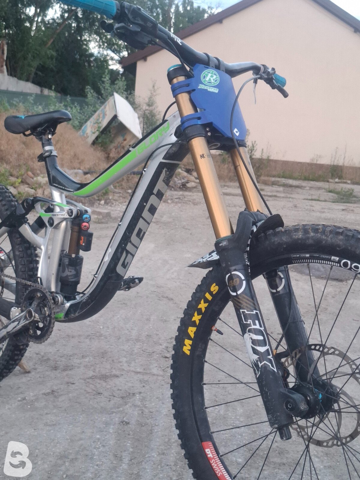 Giant Glory 2020