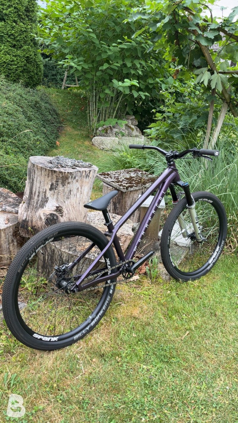 Commencal ABSOLUT RS METALLIC PURPLE