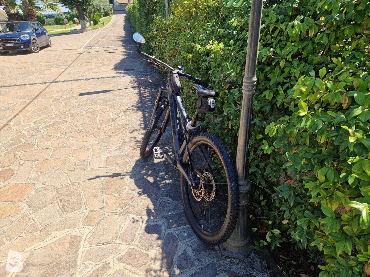 Trek E-Caliber 9.6 2022