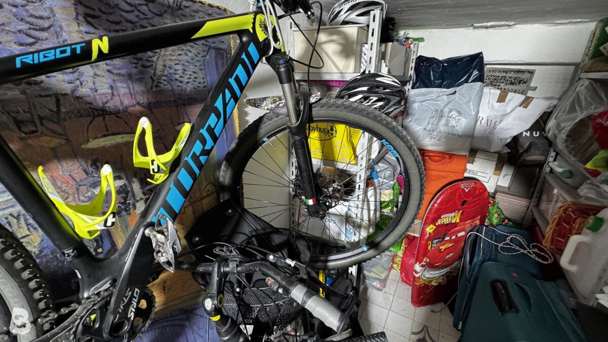Torpado Ribot N 2021