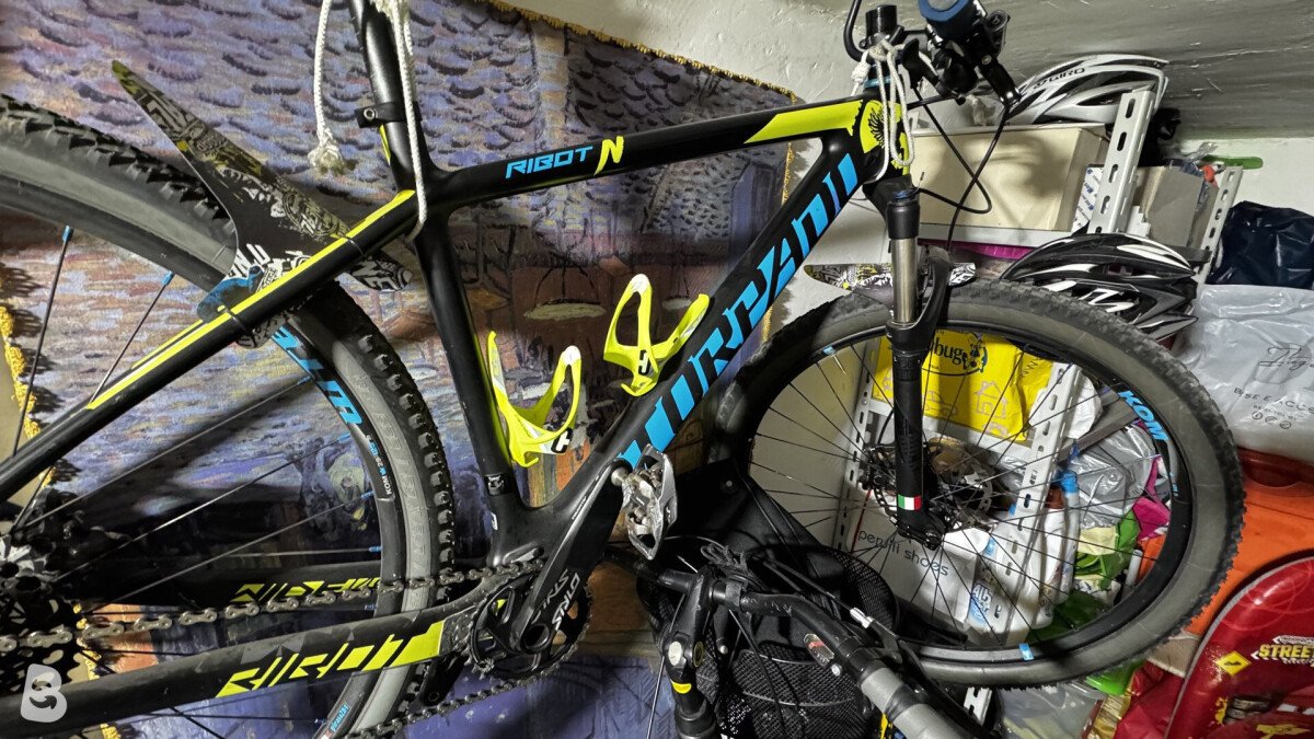 Torpado Ribot N 2021