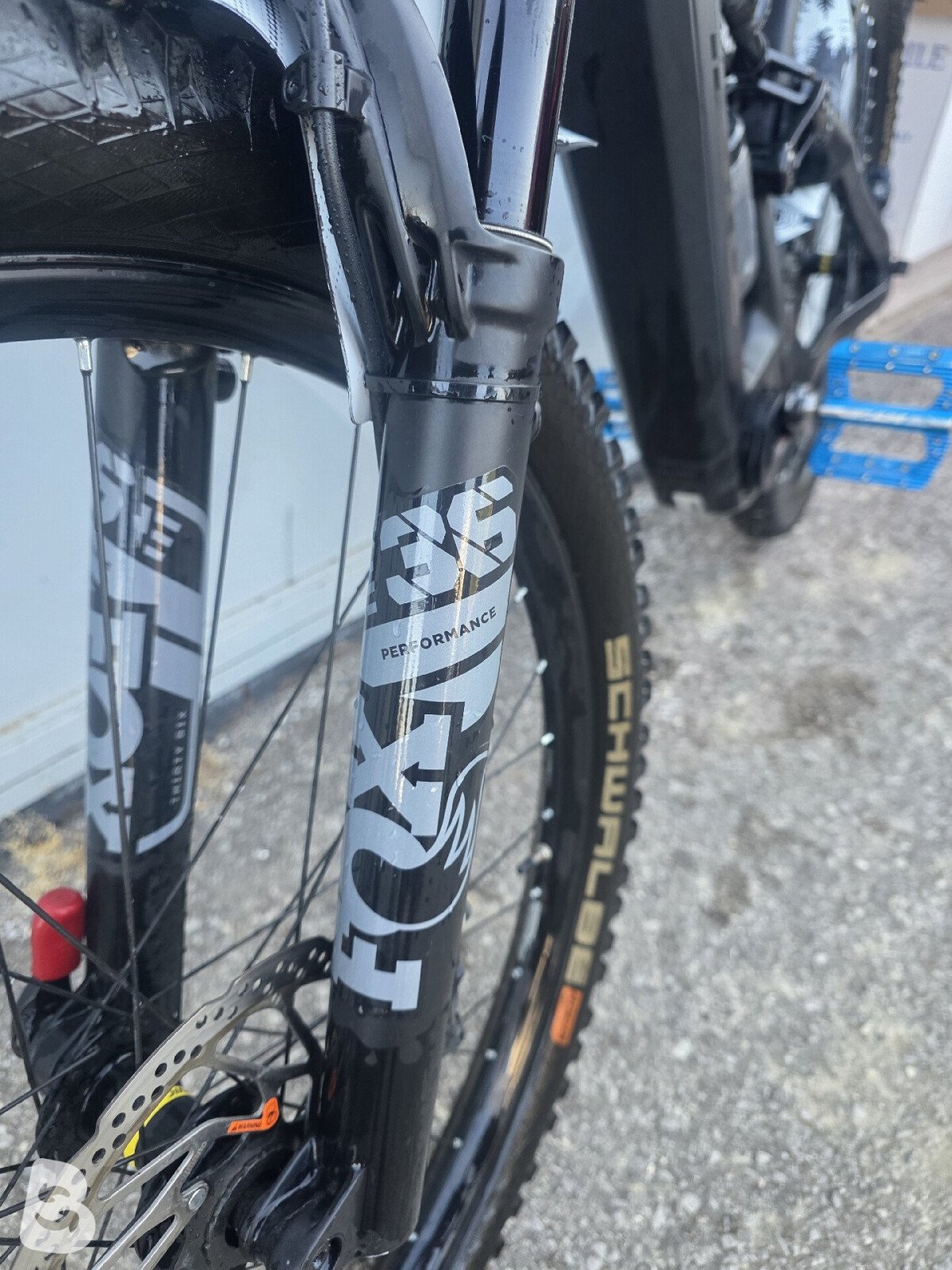 Whistle B-Rush Carbon 2023