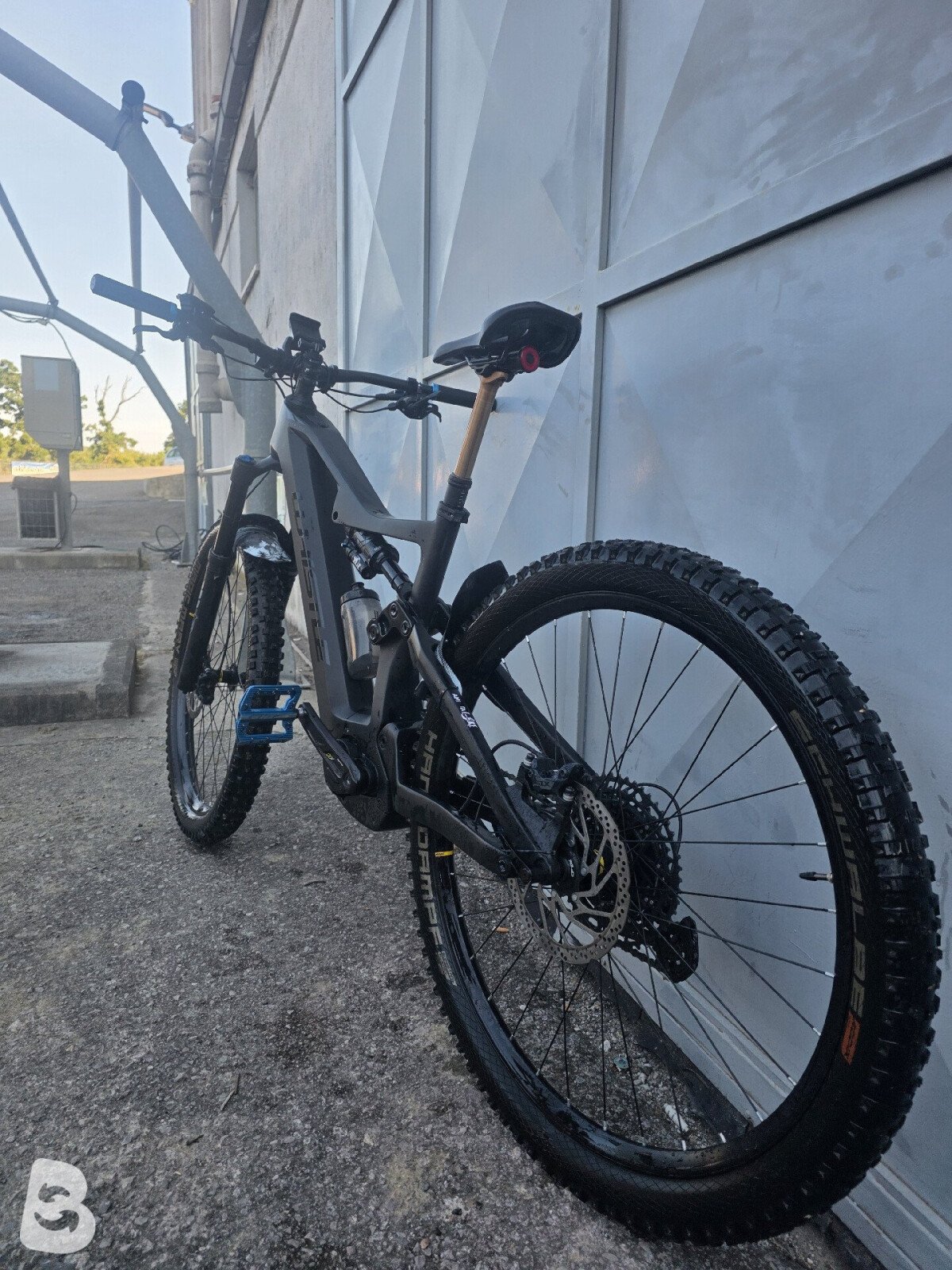 Whistle B-Rush Carbon 2023