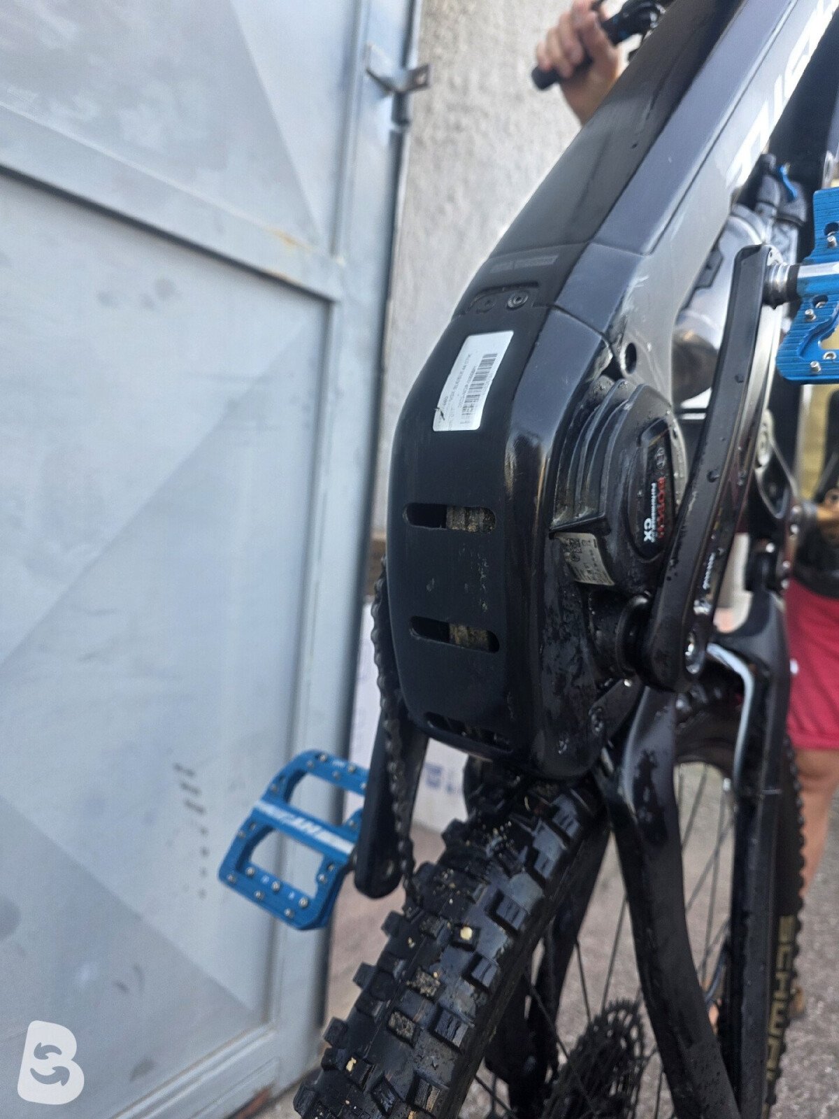 Whistle B-Rush Carbon 2023
