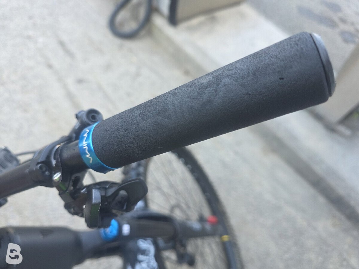 Whistle B-Rush Carbon 2023