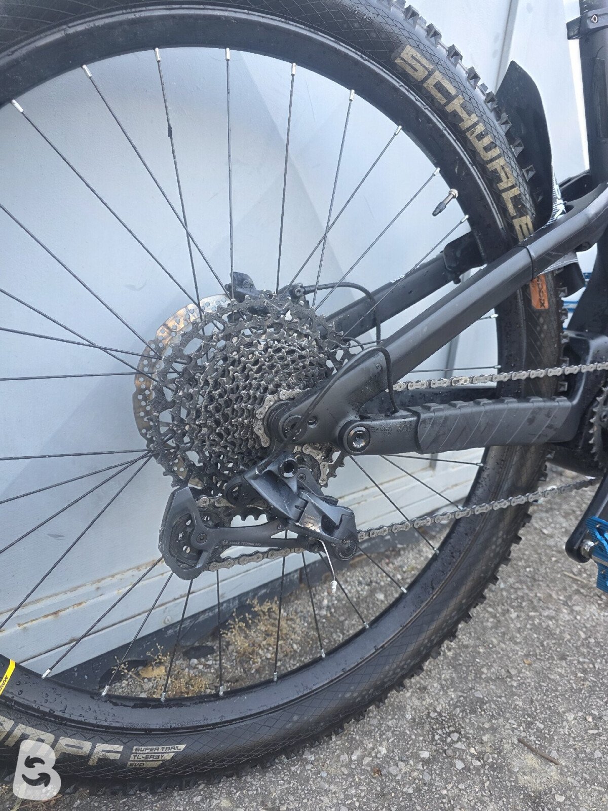 Whistle B-Rush Carbon 2023
