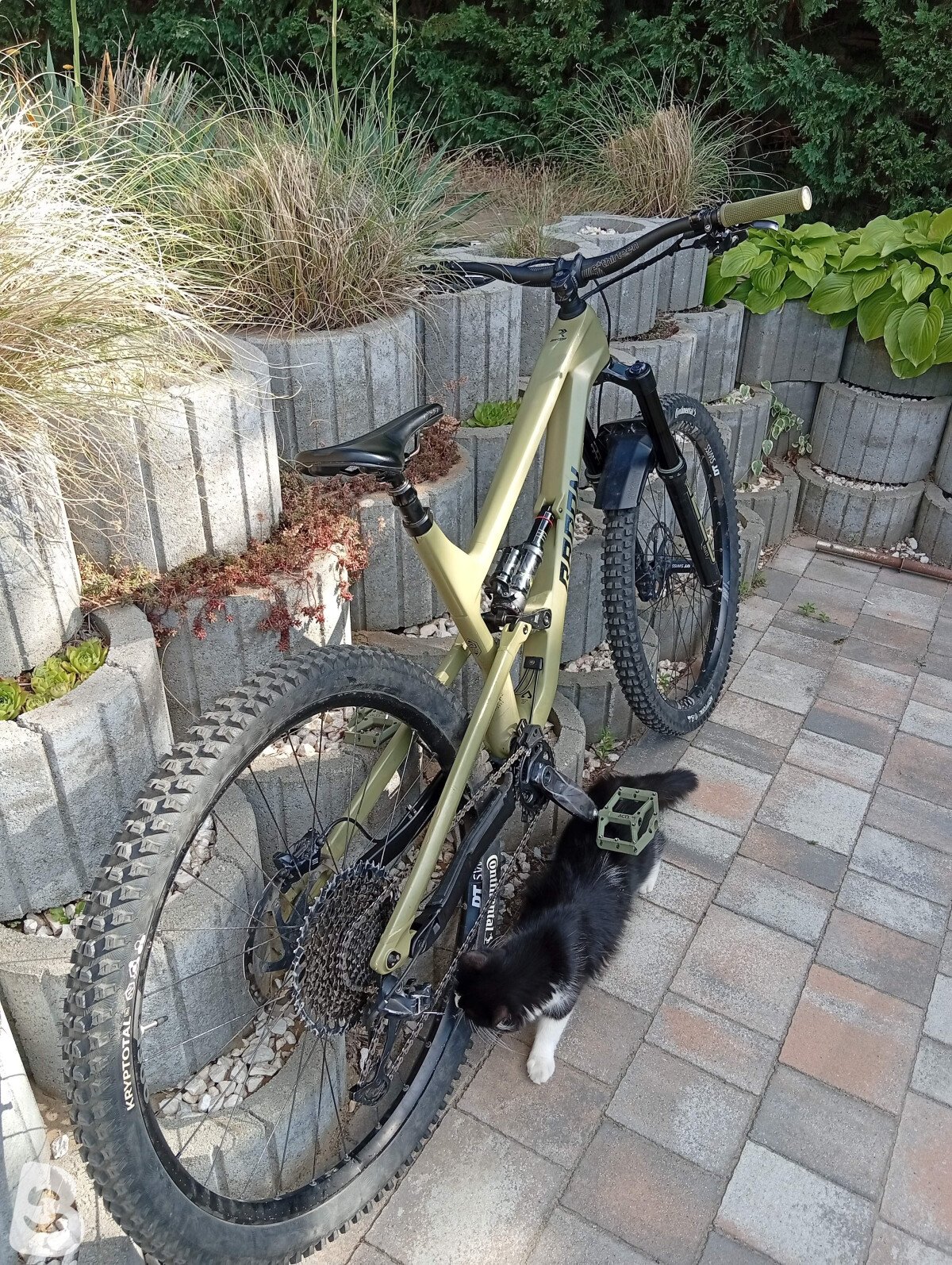 Radon SWOOP 9.0 2022