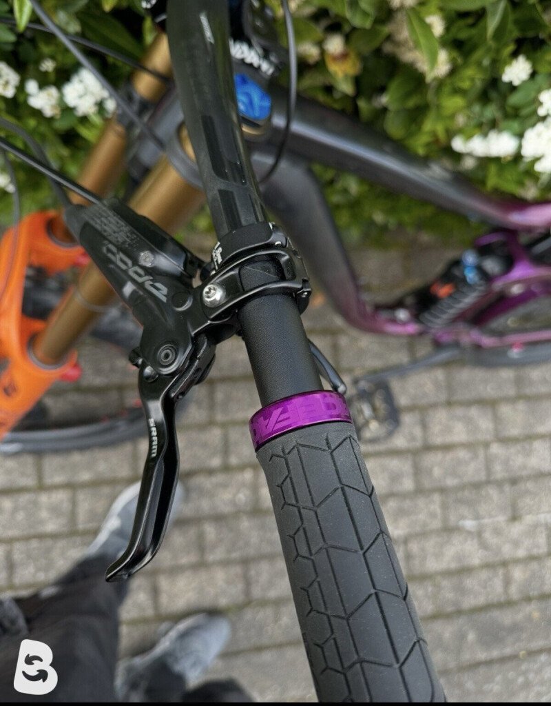 Giant Reign SX 2020