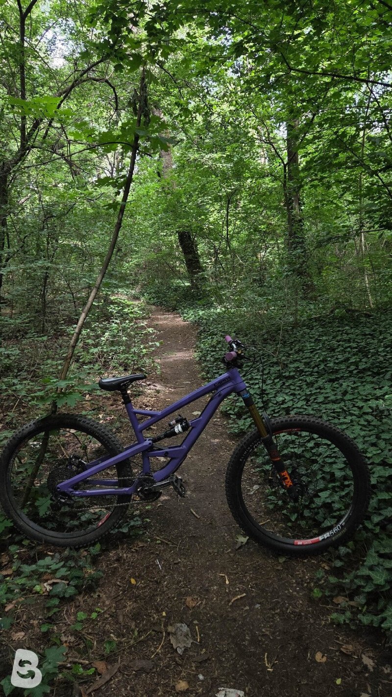 YT Industries Capra 2017