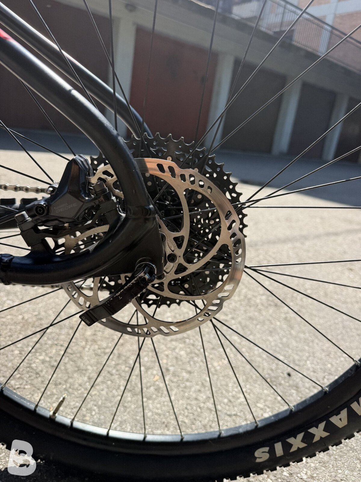 Cicli MBM Snake 2023