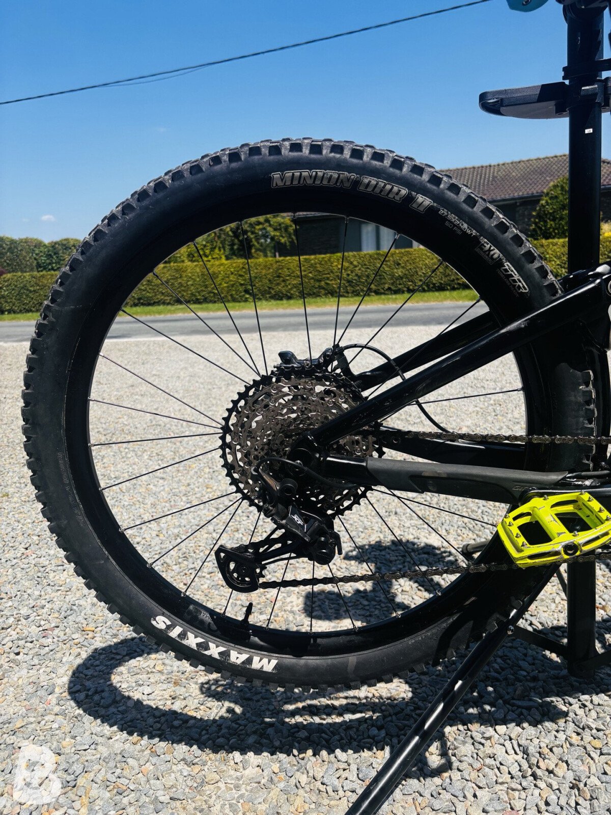 Giant Reign 1 2020