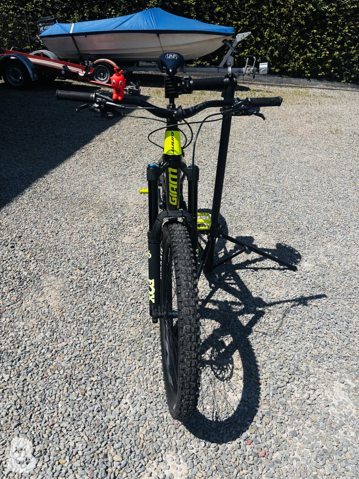 Giant Reign 1 2020