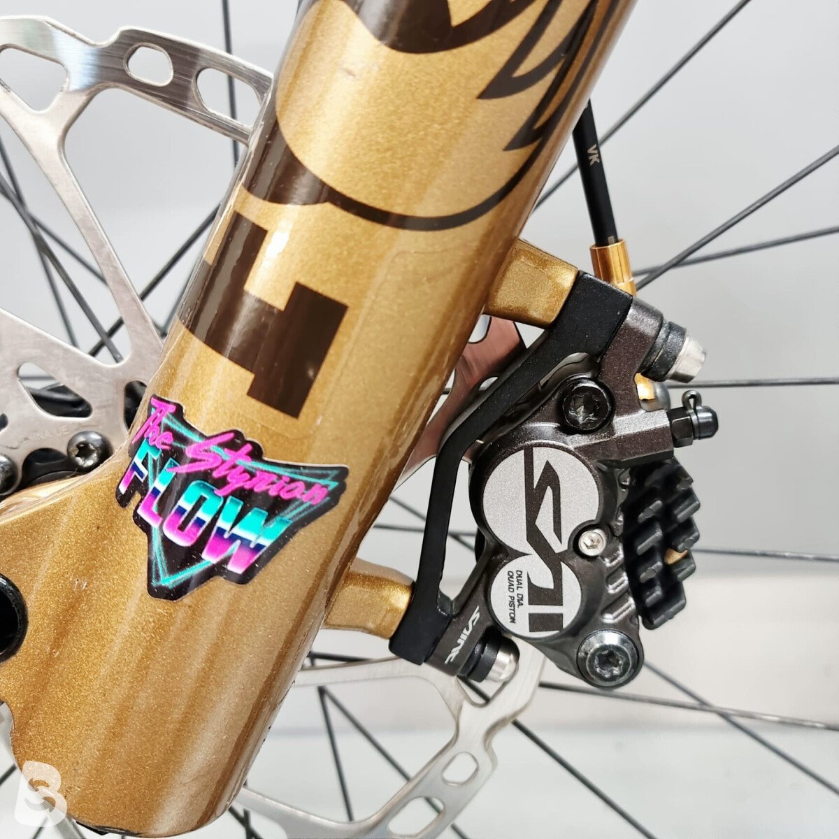 Santa Cruz V10 DH X01 / Carbon CC 2024