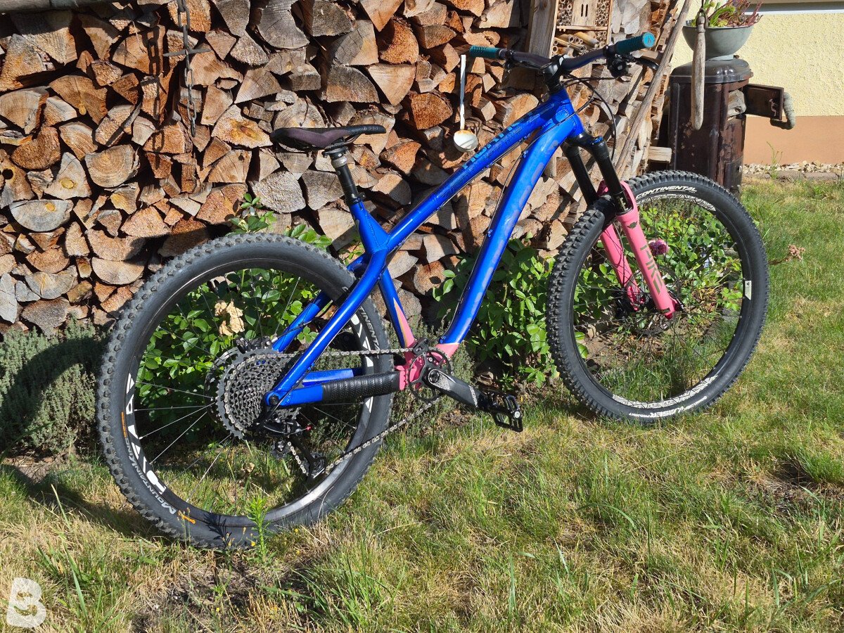 Dartmoor Hornet XL SRAM 2021