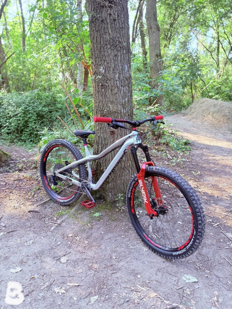 Dartmoor Hornet Pro 2025
