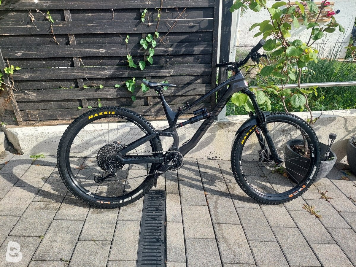 Canyon Torque AL 5.0 2019