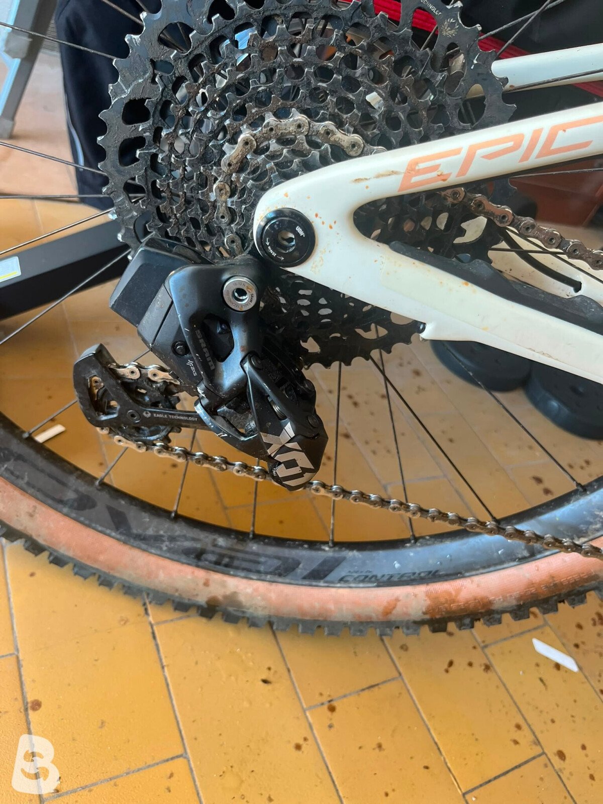 Specialized Epic EVO Pro 2023