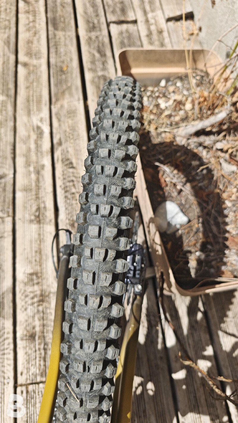 Specialized status 170 2024