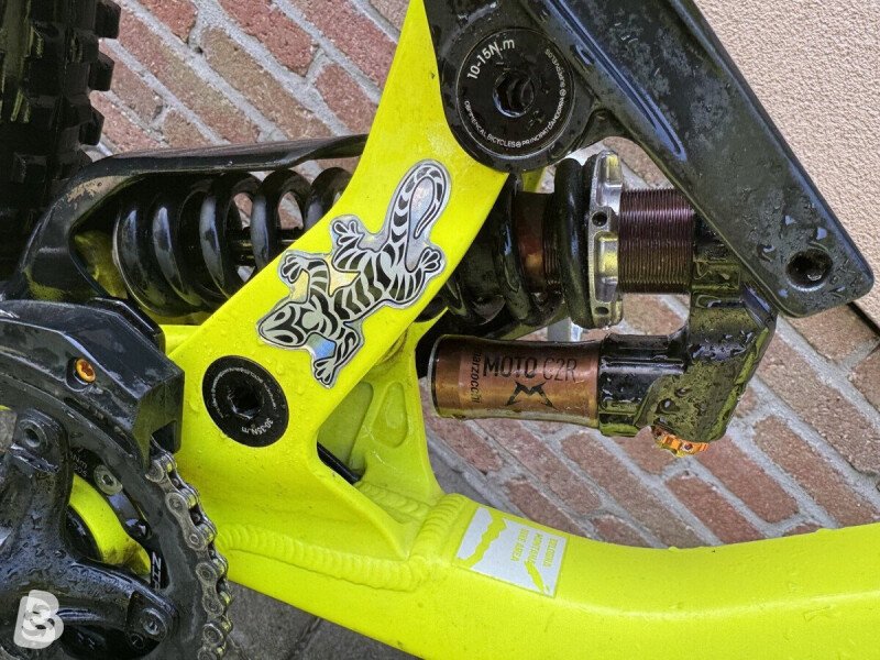 Commencal Supreme DH Race 2019