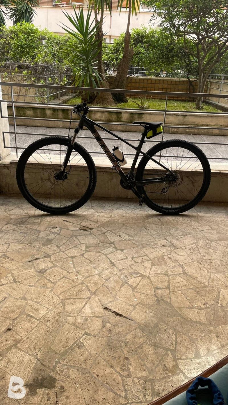 Trek Marlin 5 2024