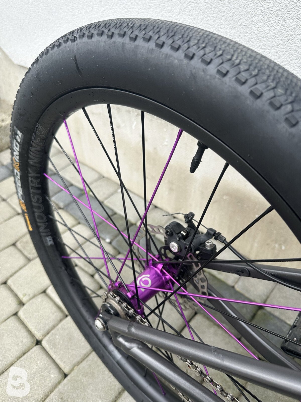 Commencal Absolut 2025