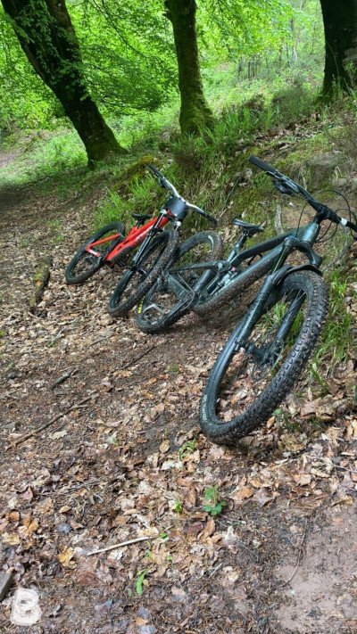 Trek Fuel EX 8 Gen 6 2023