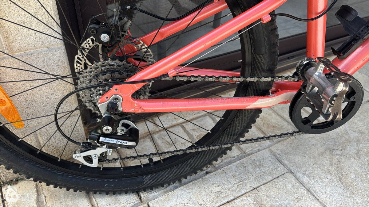 Scott Contessa 24 2021