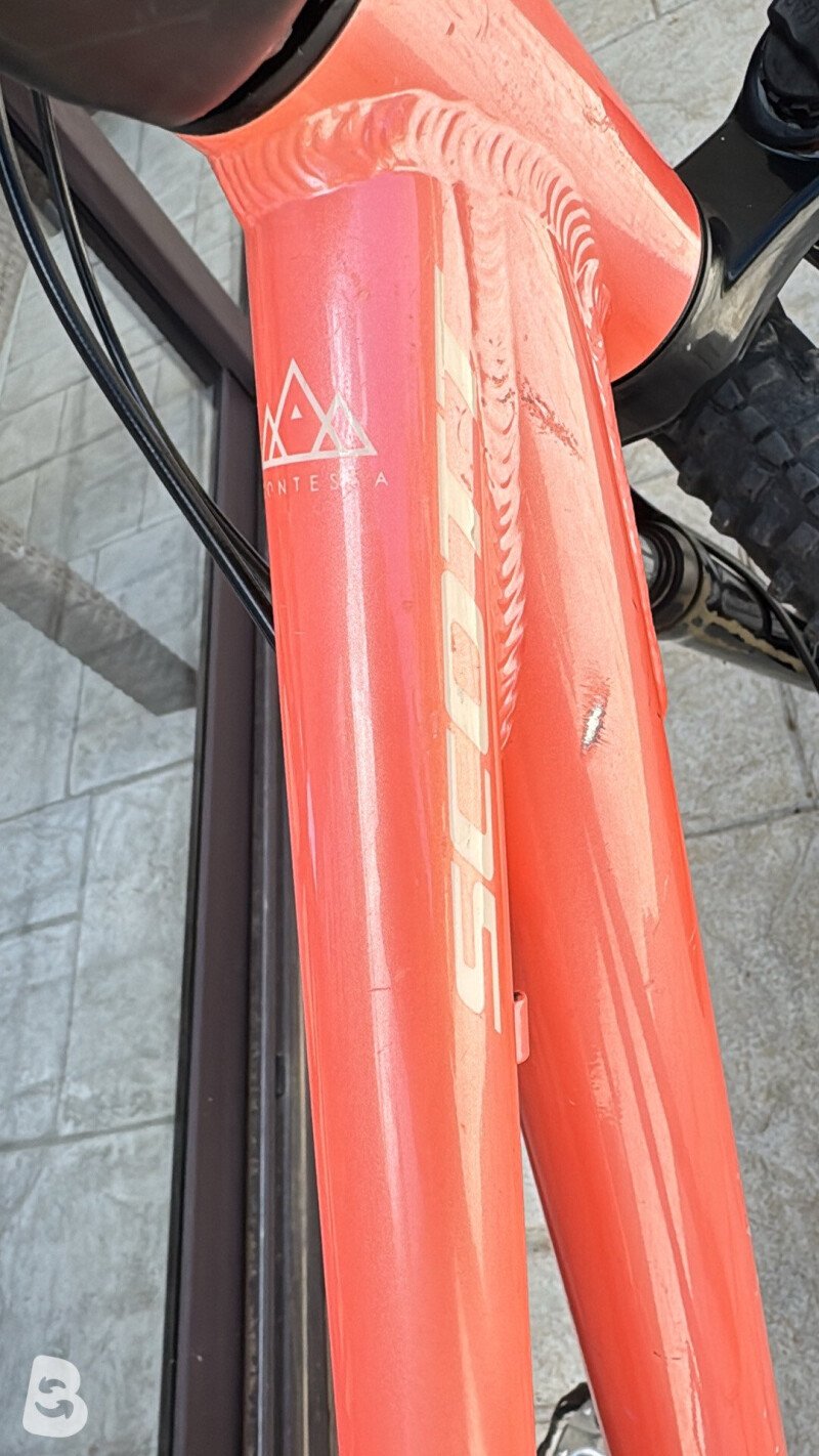 Scott Contessa 24 2021