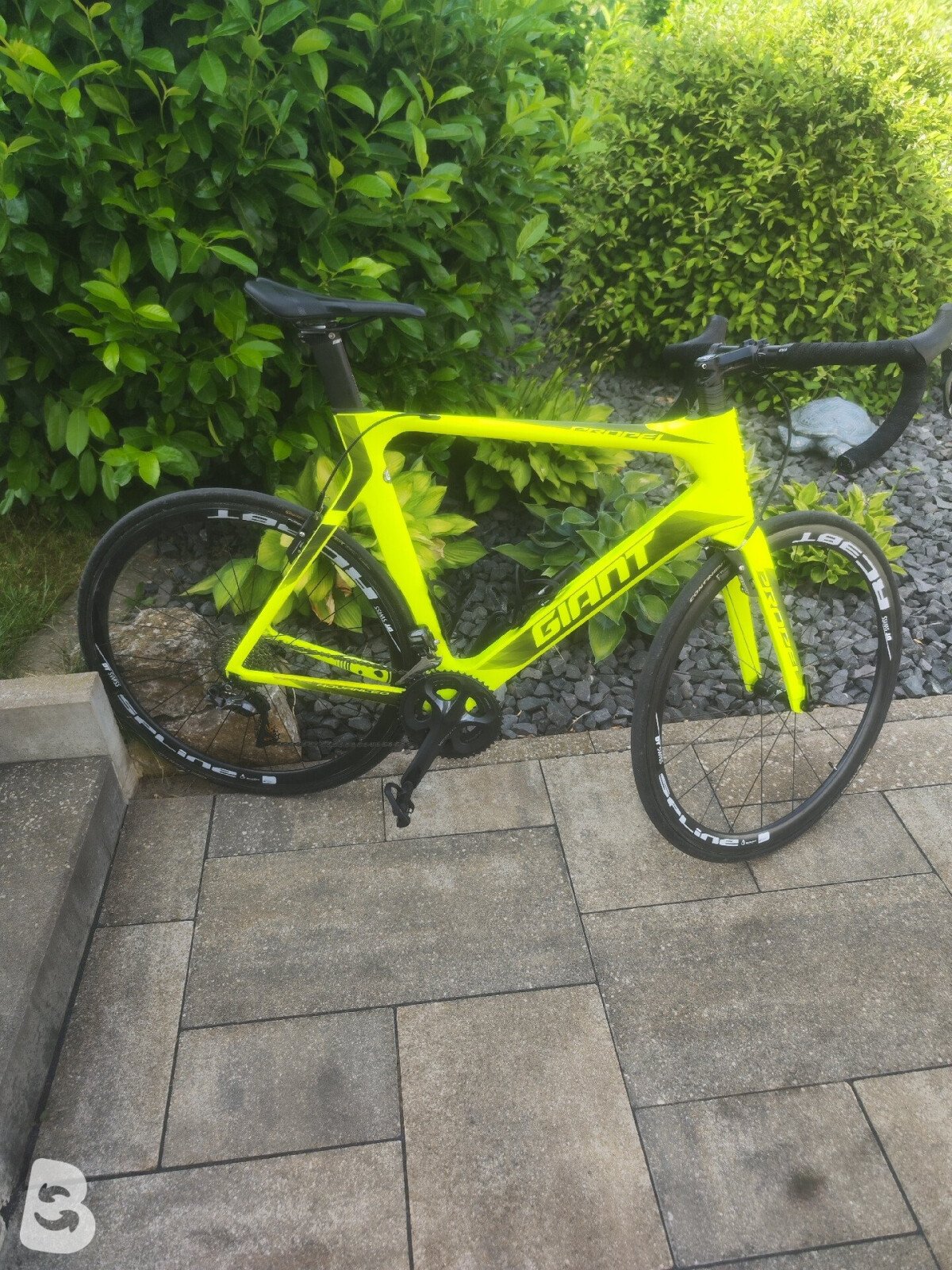 Giant Propel Advanced 0 2019