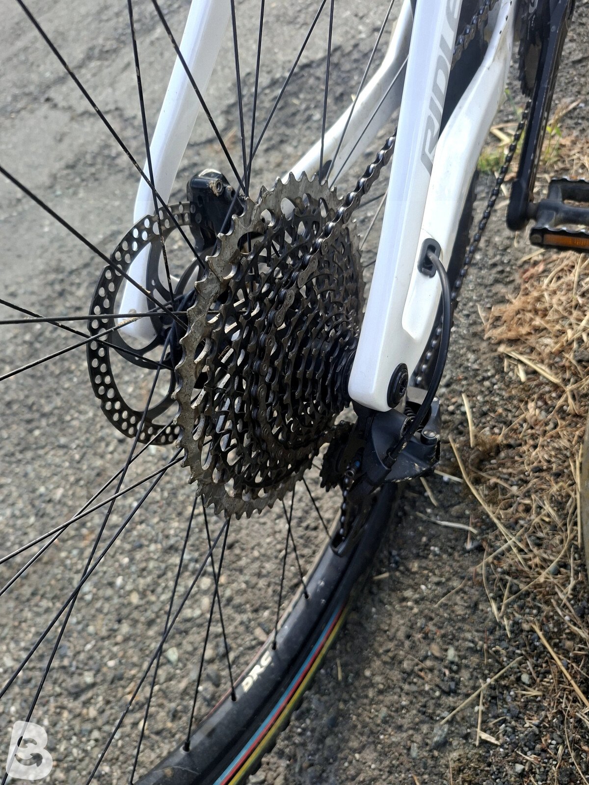 Ridley Raft XC - Sram XX AXS1x12sp 2023