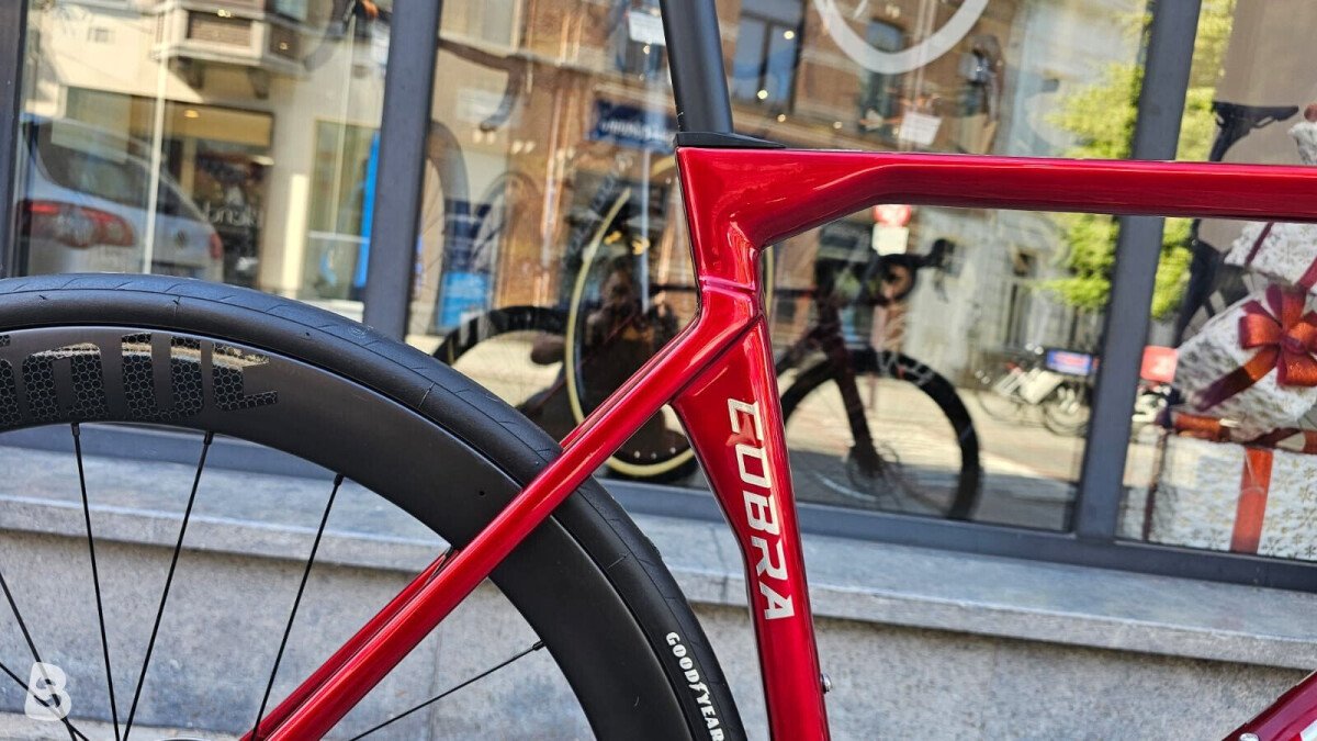 Gusto cobra evo elite ultra disc 2026