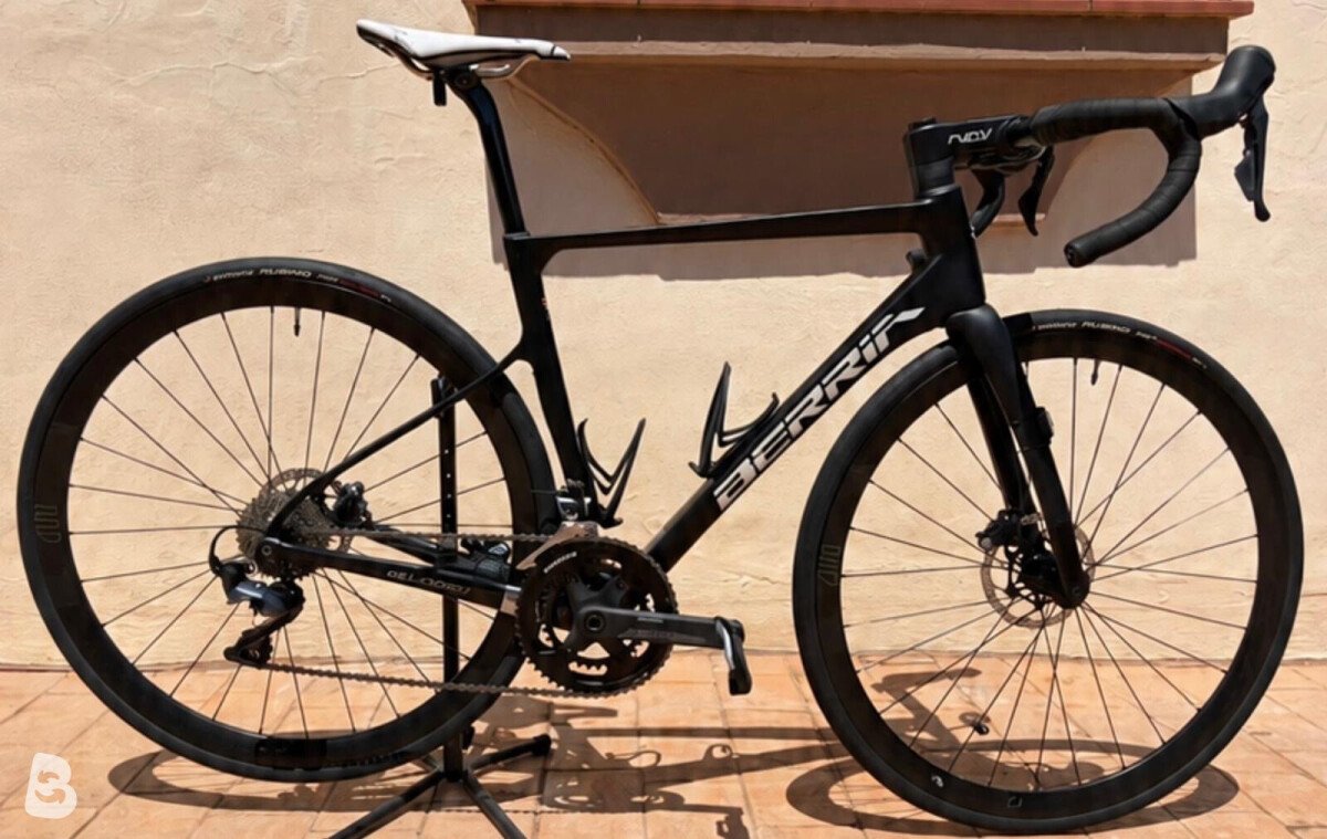 Berria BELADOR 7 2024