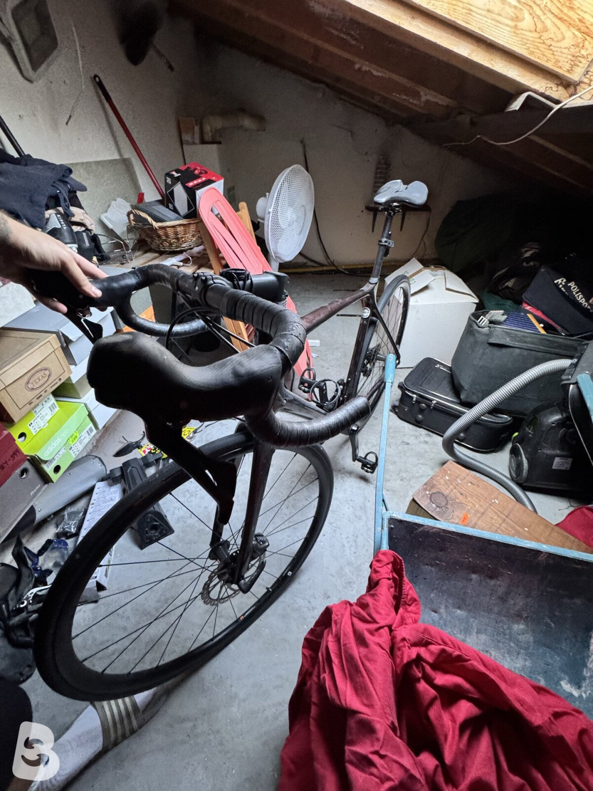 Giant Defy, Advanced 2 2022