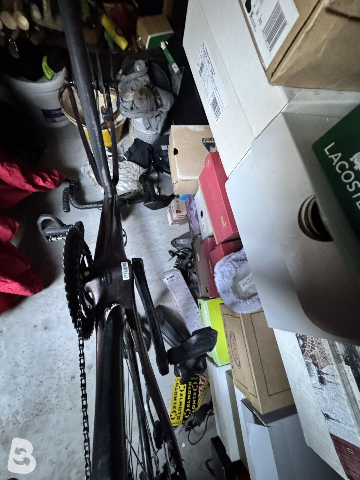 Giant Defy, Advanced 2 2022