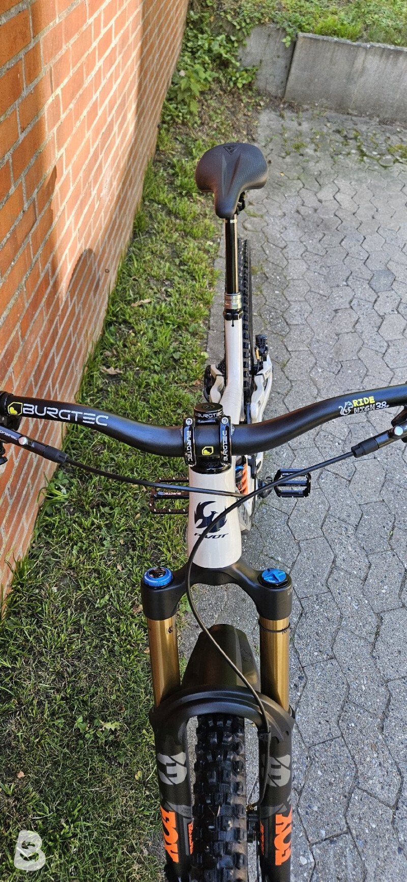 Pivot Switchblade Pro XT/XTR 2021