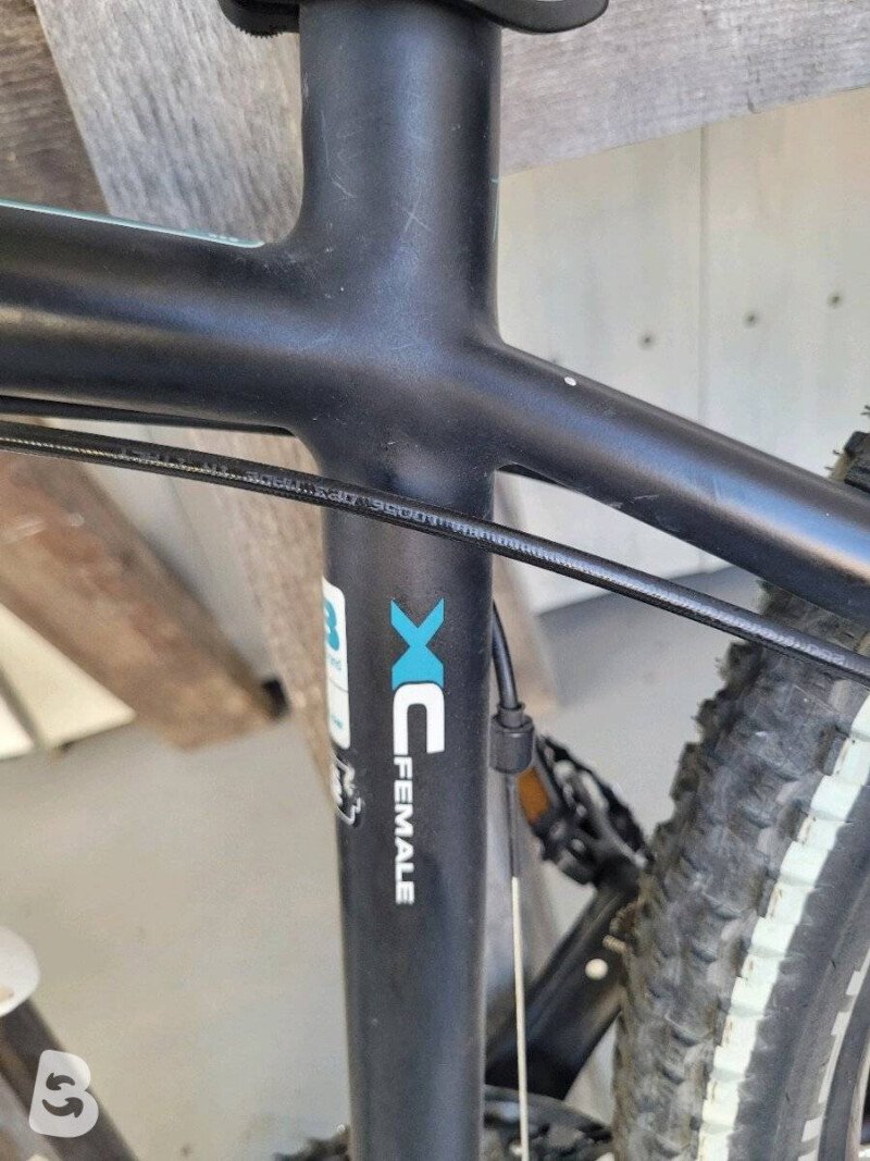 Bulls Mountainbike