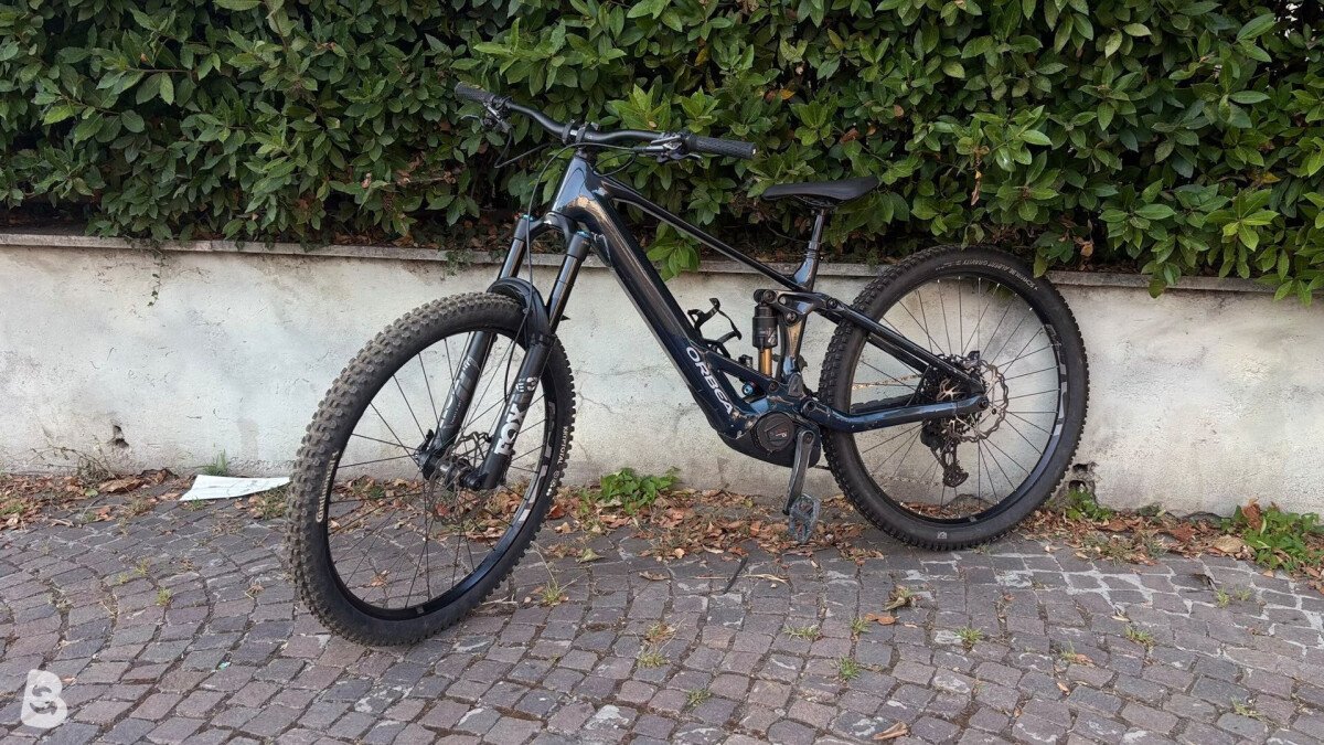 Orbea Wild M-Team 2024