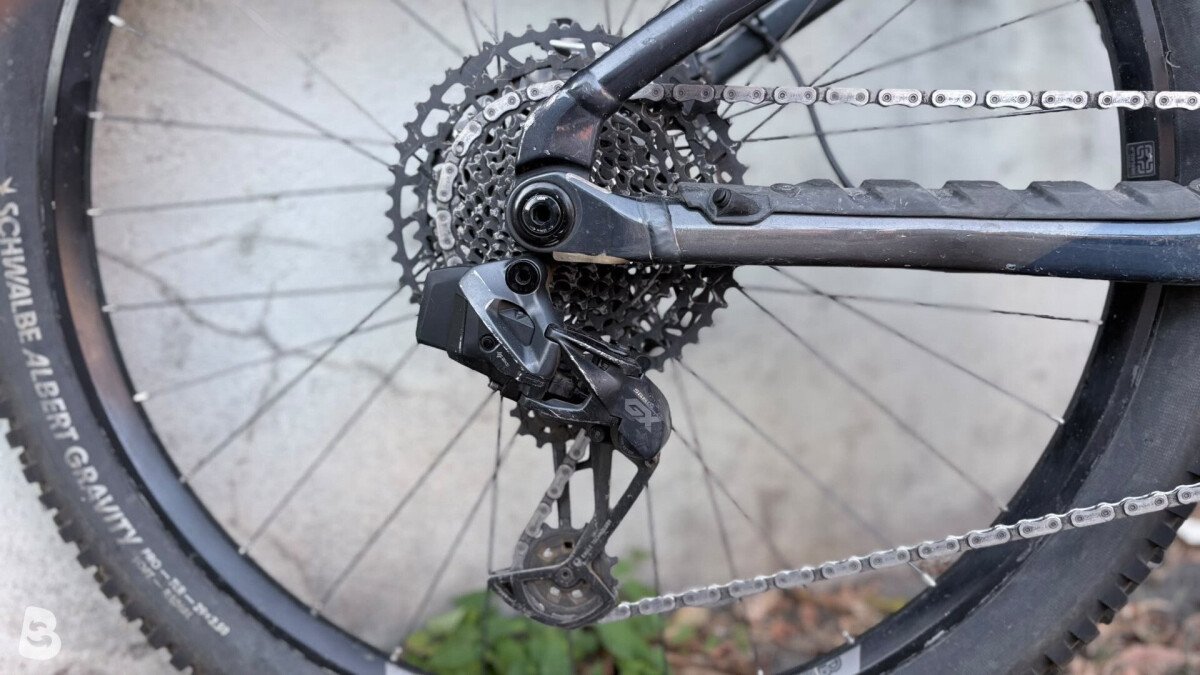 Orbea Wild M-Team 2024