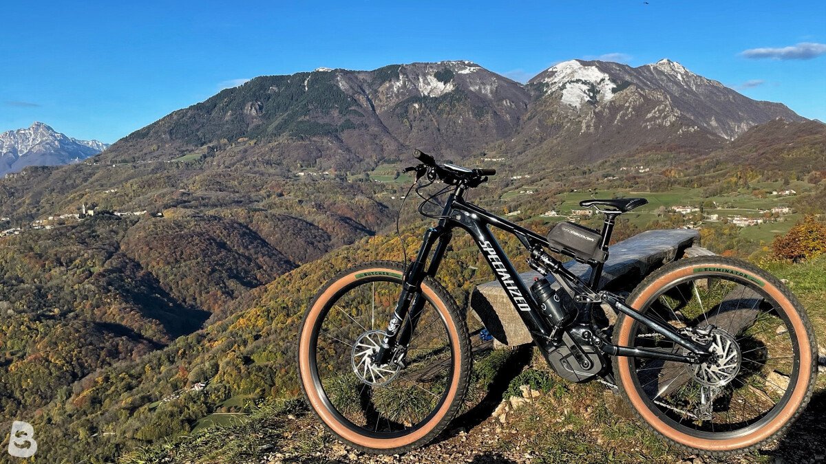 Specialized Turbo Levo Alloy 2022