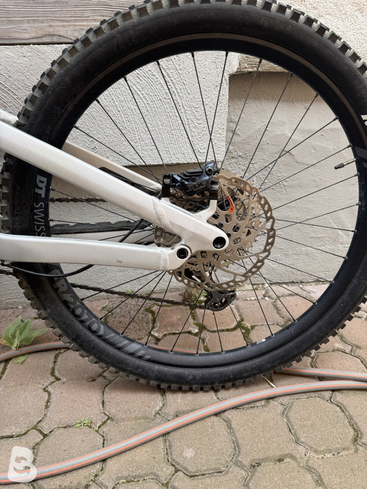 Canyon Torque 6 2025