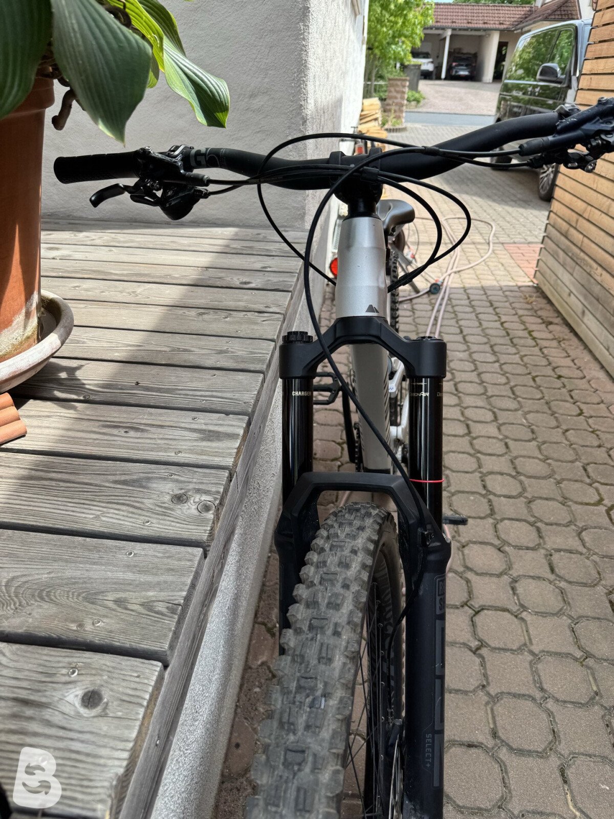Canyon Torque 6 2025