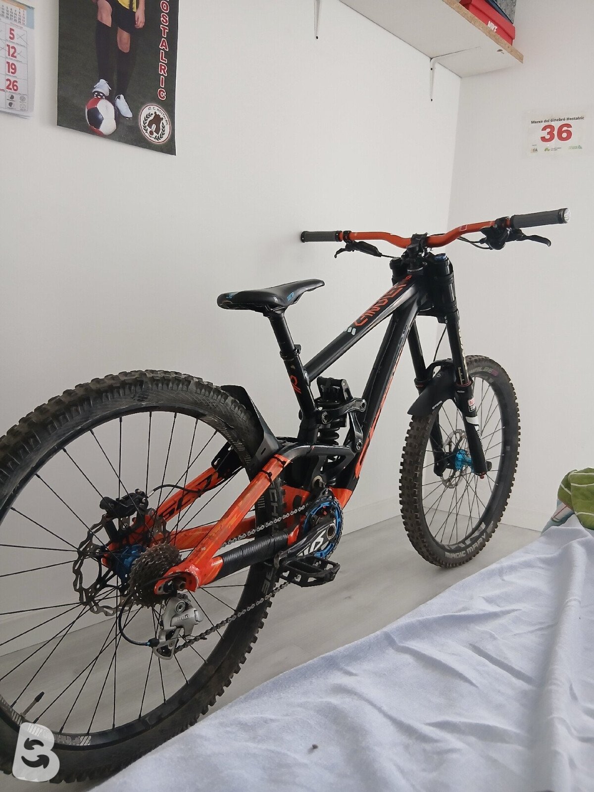 Scott Gambler 710 2017