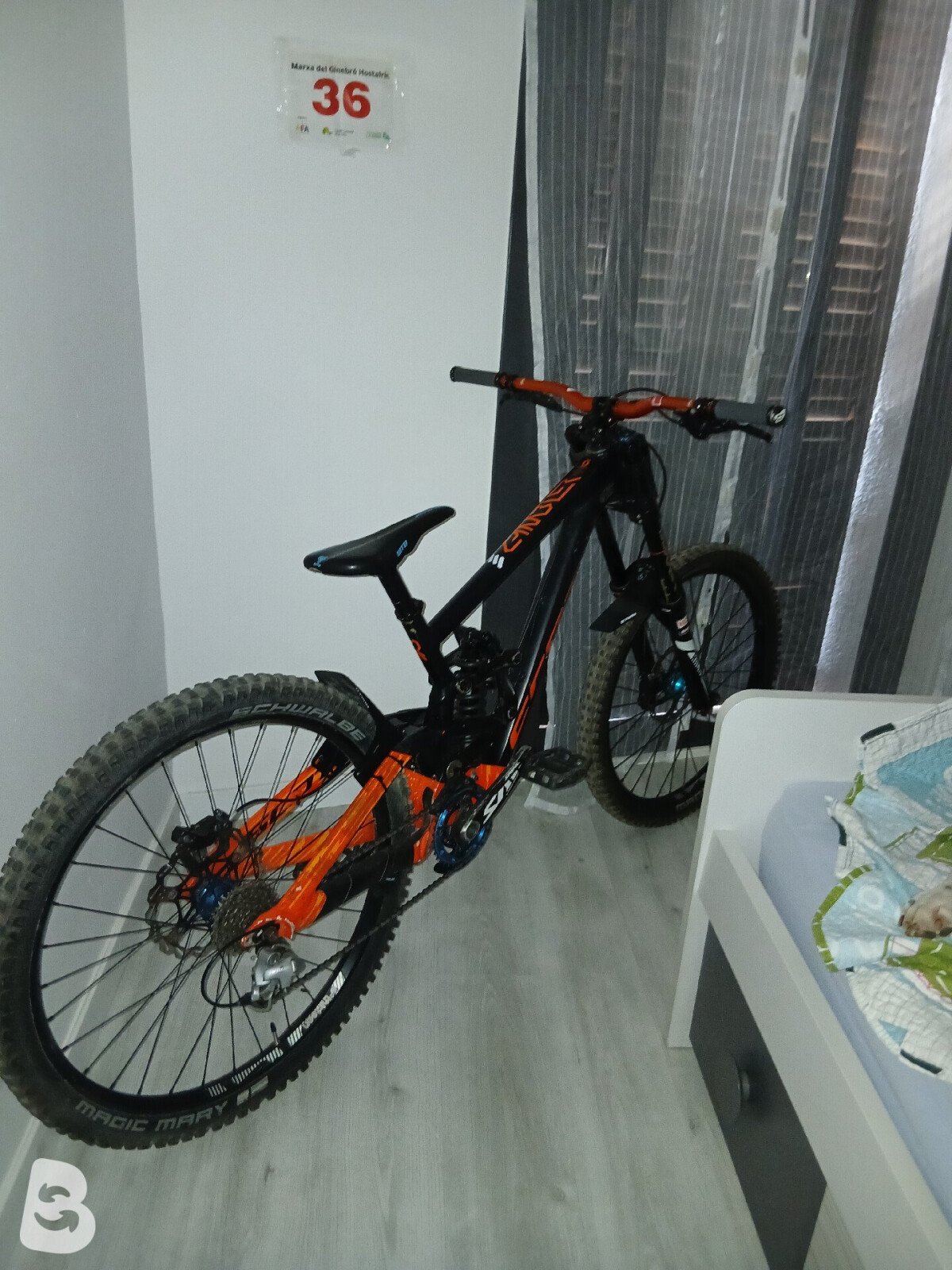 Scott Gambler 710 2017