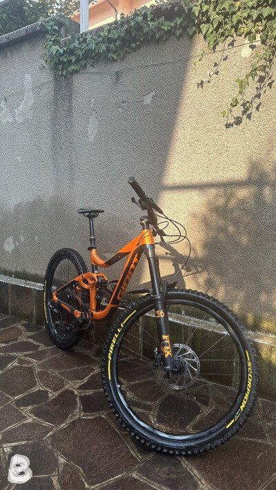 Giant Reign 1 2019