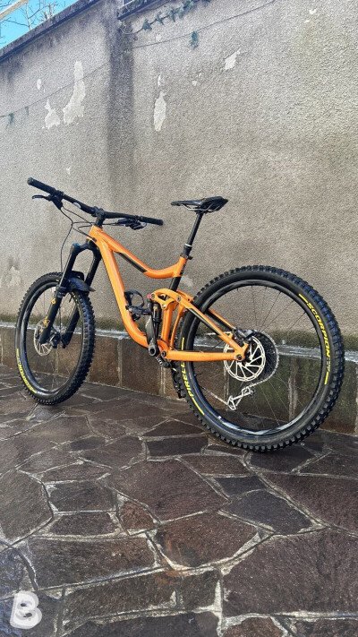 Giant Reign 1 2019